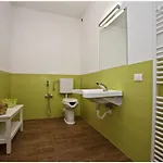 La Fonte 14 *